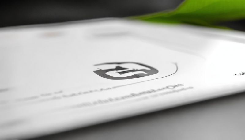 tp钱包支持币种怎么理解？从多链资产到代币标准的实用科普
